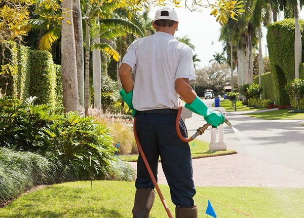About Techny IL Pest Control